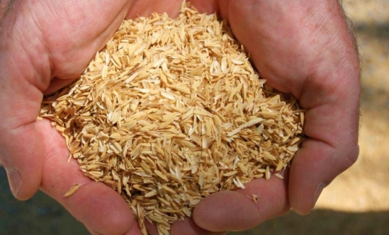 Pirinç-Kabuğu-Çeltik-kavuzu-satışı-fiyatı-satıcıları-Pirinç-Kabuğu-Çeltik-Kavuzu-rice-husk-hull-1-1024x681-0003